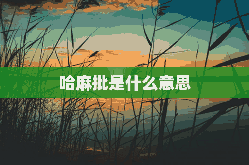 哈麻批是什么意思(四川话哈麻批是什么意思)